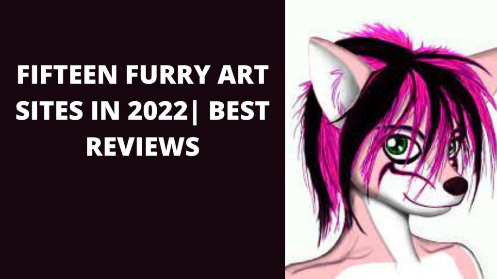 FIFTEEN FURRY ART SITES IN 2022| BEST REVIEWS